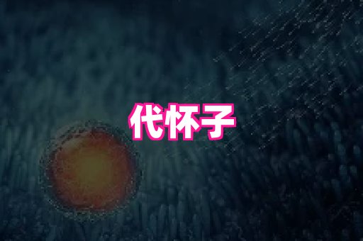 nub孕网 1