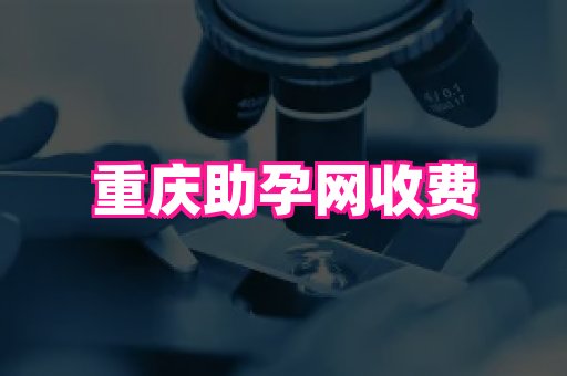 nub孕网 3