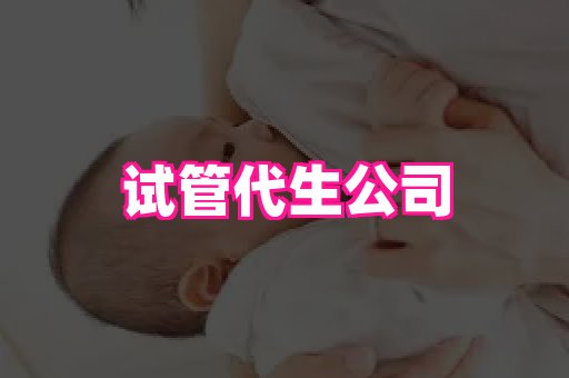 nub孕网 4